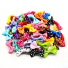 10PCS Pet Dog Hair Clips Fresh Summer Style Solid Colour Pet Hair Clip for Cute Medium Small Dog Cats Pet Removable Accessories 5
