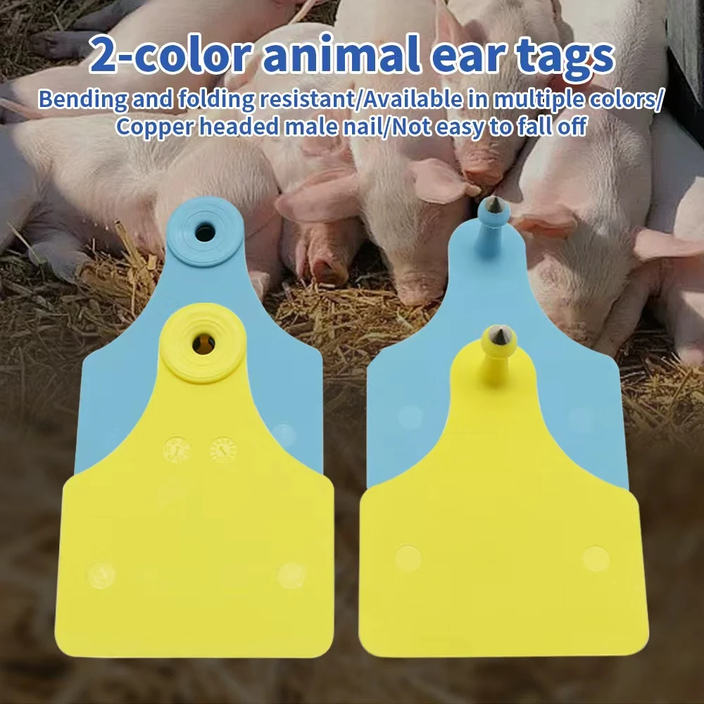 100 Pcs Animal identificatie oor tag Geen woord 100 Pcs Animal identificatie oor tag Geen woord