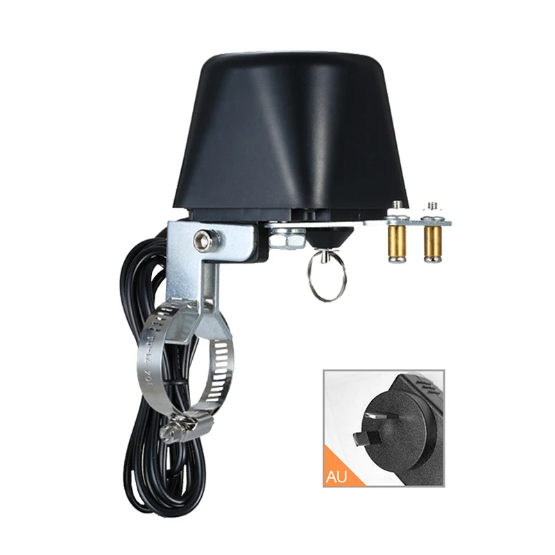 Adapter with AU plug