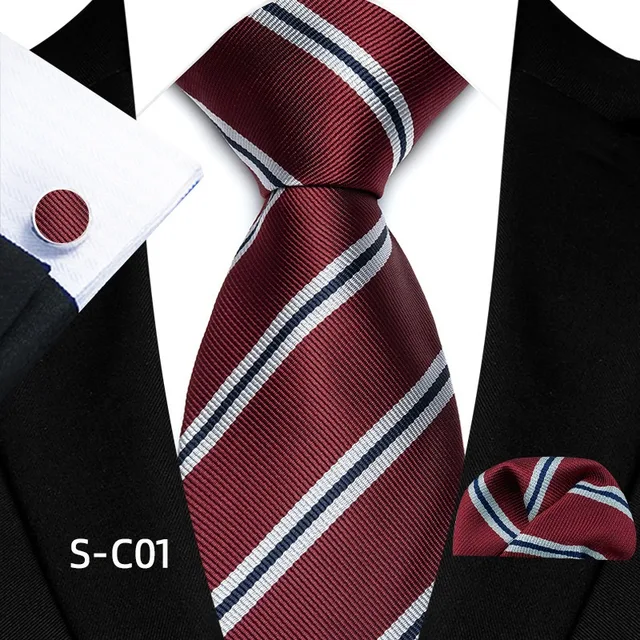 S-C01