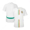 2025 Senegal National Home Jersey Outdoor Sweat Absorbent Quick Dry Soccer Jersey Summer Classic Casual Loose T-Shirt 1