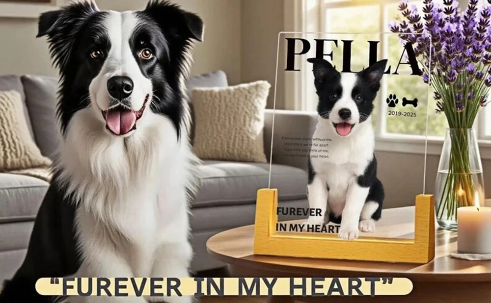 Benutzerdefinierte personalisierte Haustier Memorial LED Acryl Licht Hund Katze Foto Nachtlampe graviert mit Namen Termine Zitat sentimentale Sympathie – Detail 4