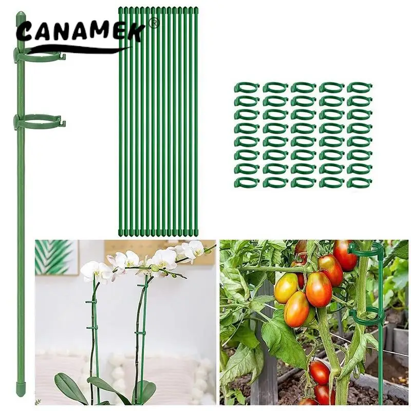 

10set 30cm Plastic Plant Supports Stakes Flower Stand Sticks Reusable Garden Fixing Tool For Indoor Vegetable Holder Bracket