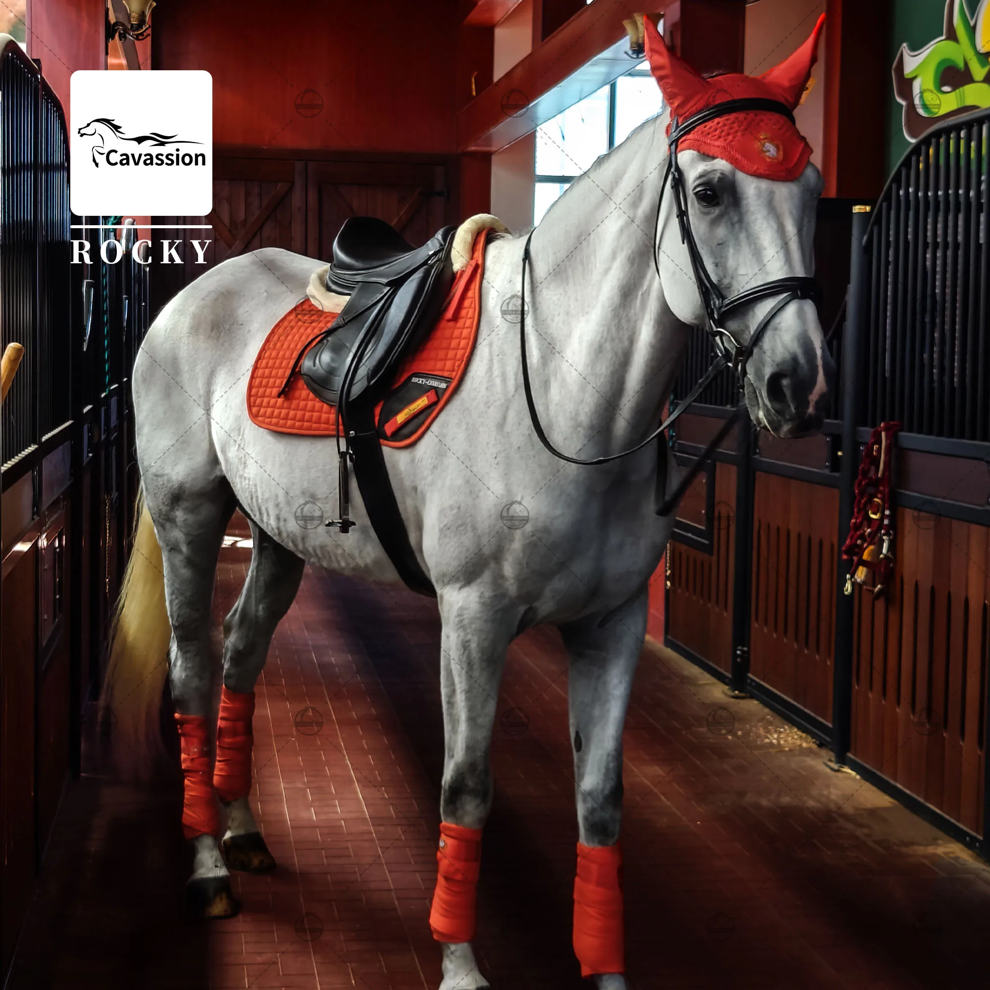 only Cavassion ear cover equestrian equipments horse riding equine tools you can choose saddle pad lead rope leg bandage halter