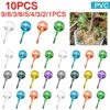 1-10PCS Automatic Plant Watering Bulbs Shape Flower Plant Water Dripper Lightweight Houseplant Device Drip Irrigation System 1