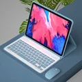 Mistybluewith mouse