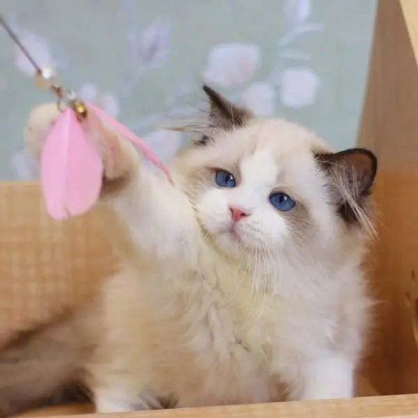 Earth Radius-C Store