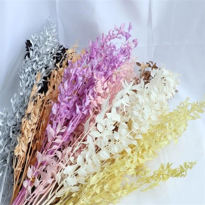 

10pcs Dried Flowers Ruscus Leaves Natural Plants Eucalyptus Leaves Branches for Home Garden Wedding Decoration Flowers Bouquet