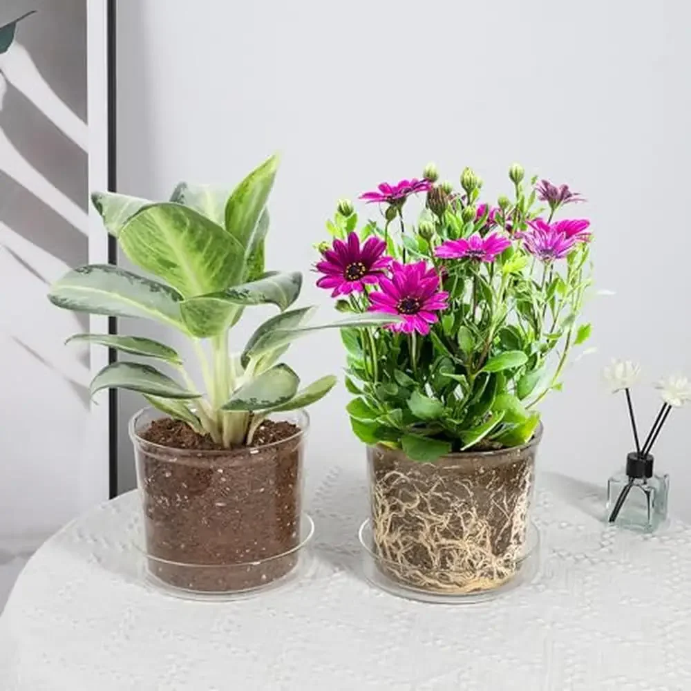 Glass Planter Pot Set Clear Plant Container with Tray Modern Indoor Outdoor Decor Drainage Holes & Saucer Included