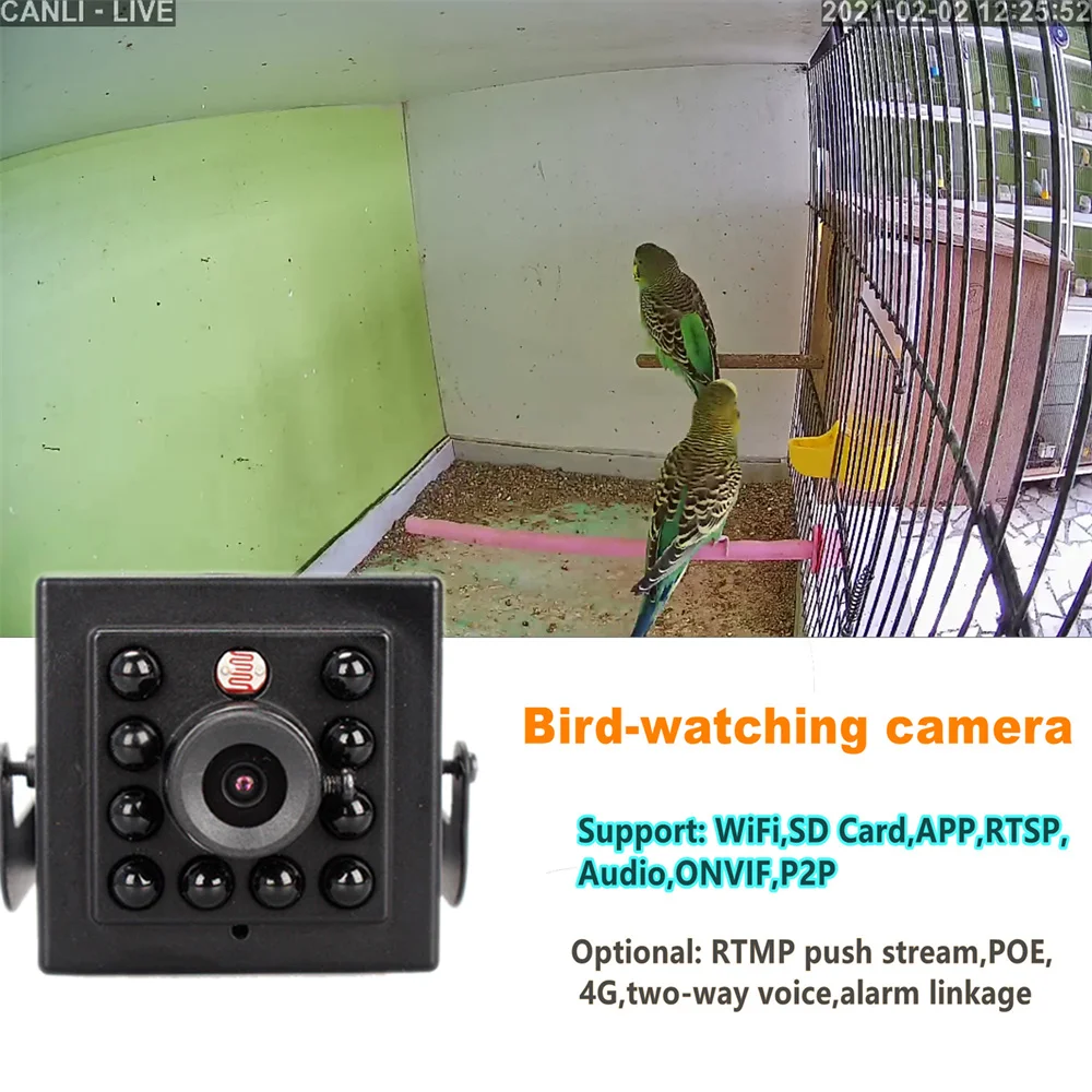 Camhi Motion Detection P2p Camera Ip Ftp 4g Ip Camera Ftp