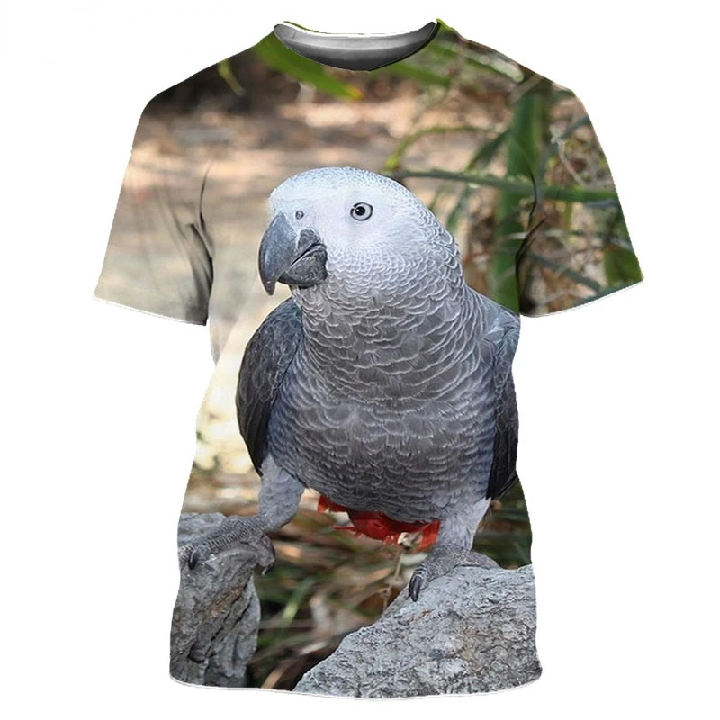 Grey Parrot 3D Print Oversized T Shirt for Men and Women