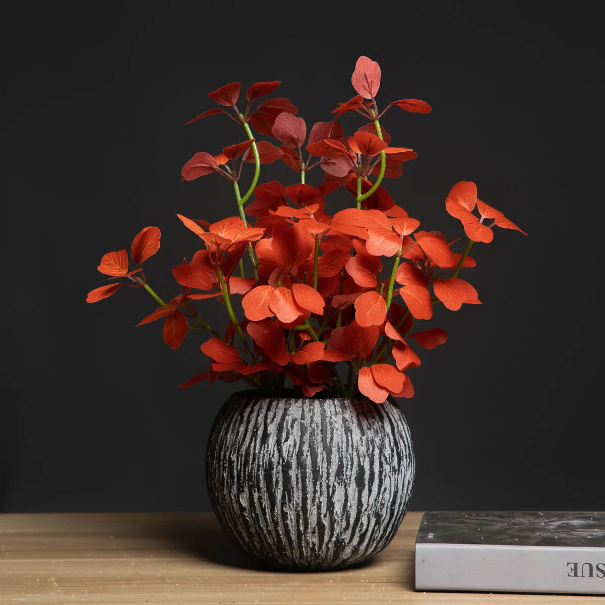 Kmitang Official Store