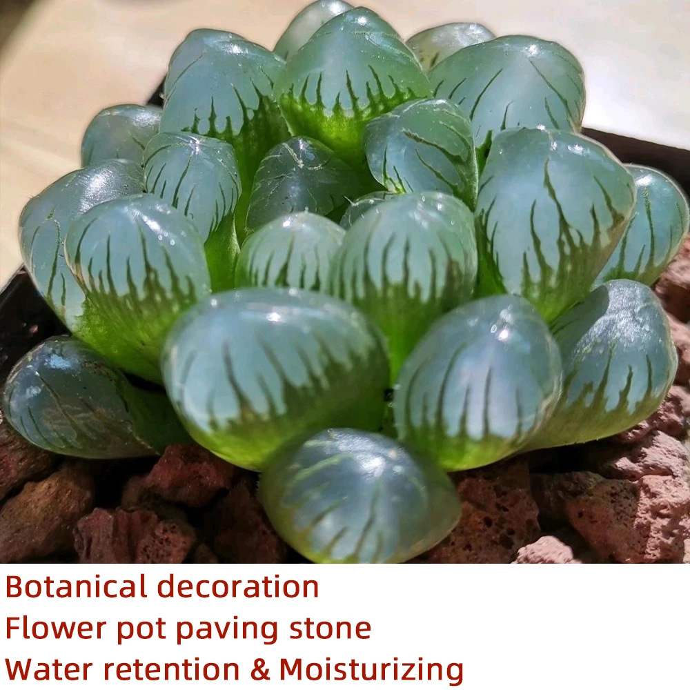 Volcanic Stone Gardening Bonsai Decoration Materials Create Ecological Environment 100g 10~20mm decorative stones