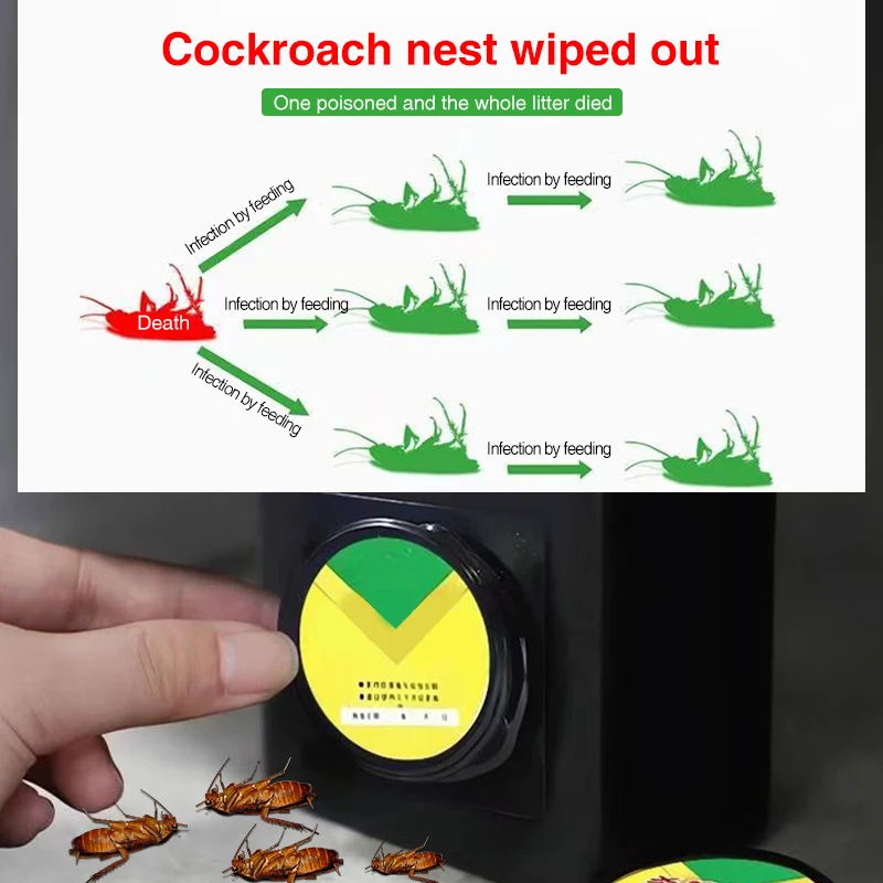 Bait Tool for Eliminating Cockroaches and Fleas