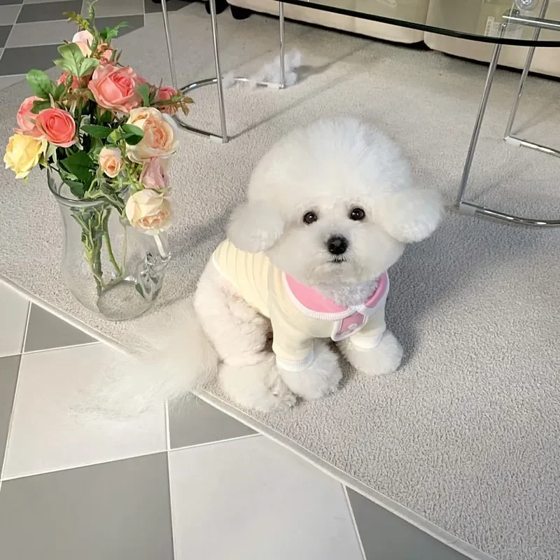 귀여운 강아지 옷 라펠 티셔츠, 테디 베어, 슈나우저, 말티즈 강아지, 코스튬 개 조끼, 강아지 셔츠, 강아지 의류, 여름