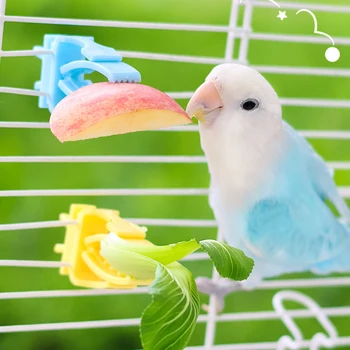 2/4pcs Set Pet Bird Food Holders Parrot Fruit Vegetables Clip Cuttlefish Bone Feeder Device for Pet Parrot Bird Cage Accessories - Image 6