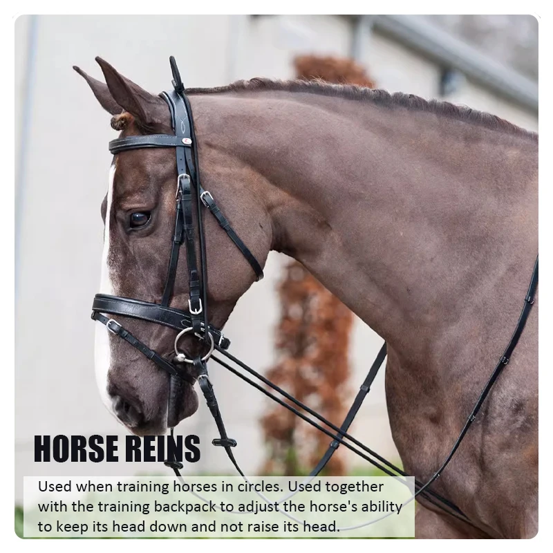 Durable Reins Adjustable Horse Riding Bridle Eastic Training Strap Horse Bridle Horses Equipment Equestrian Supplies Correct Aid