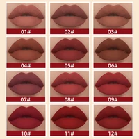 Nude Matte Lip Gloss 24 Colors Long-lasting Velvet Lipstick Waterproof Non-stick Cup Sexy Red Dark Lip Tint Makeup Cosmetic 2