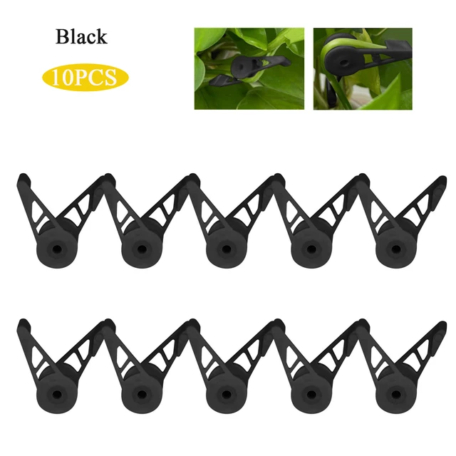 10Pcs black