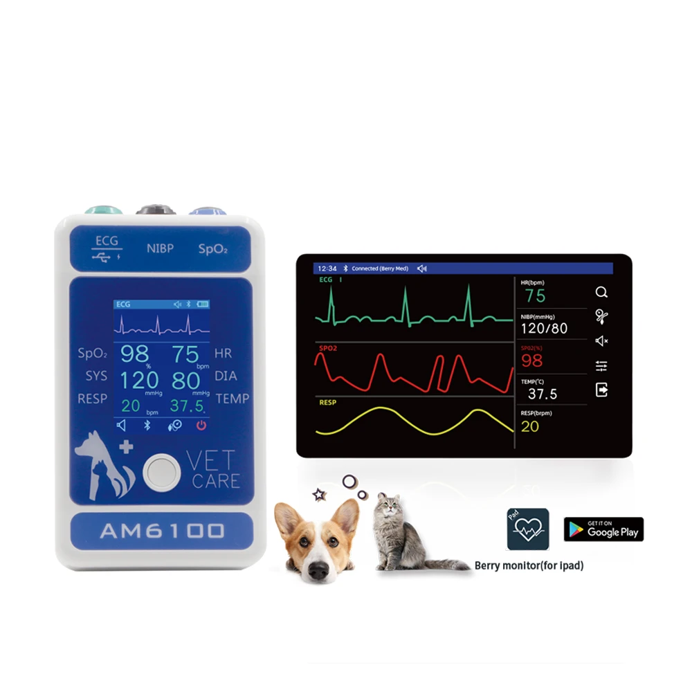 

AM6100 Veterinary Monitor Easy-to-carry Handle Multiple Vital Signs:PR HR NIBP(Blood Pressure)Spo2 Resp(Respration)TEMP