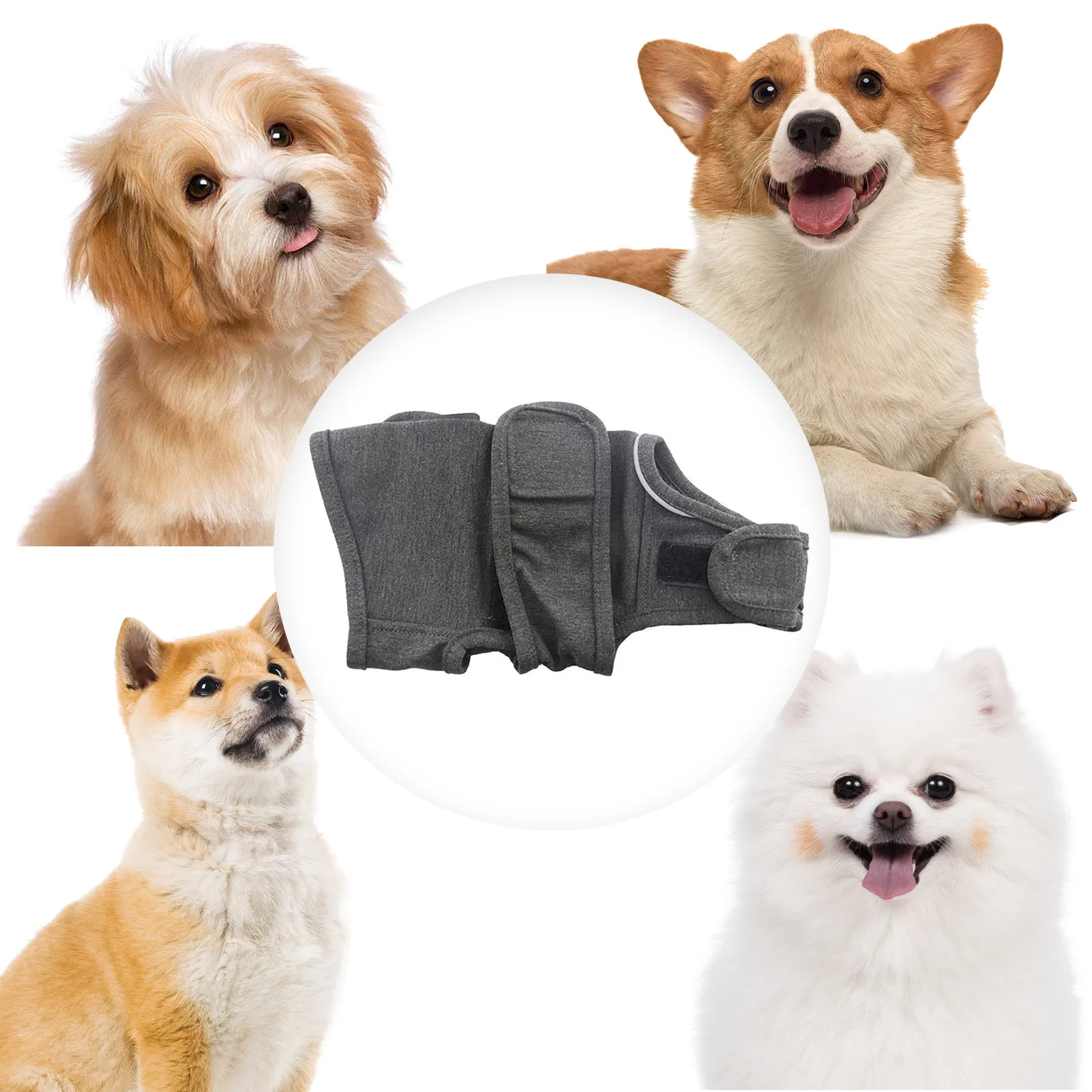 Dog Thunder Vest Doggie Door