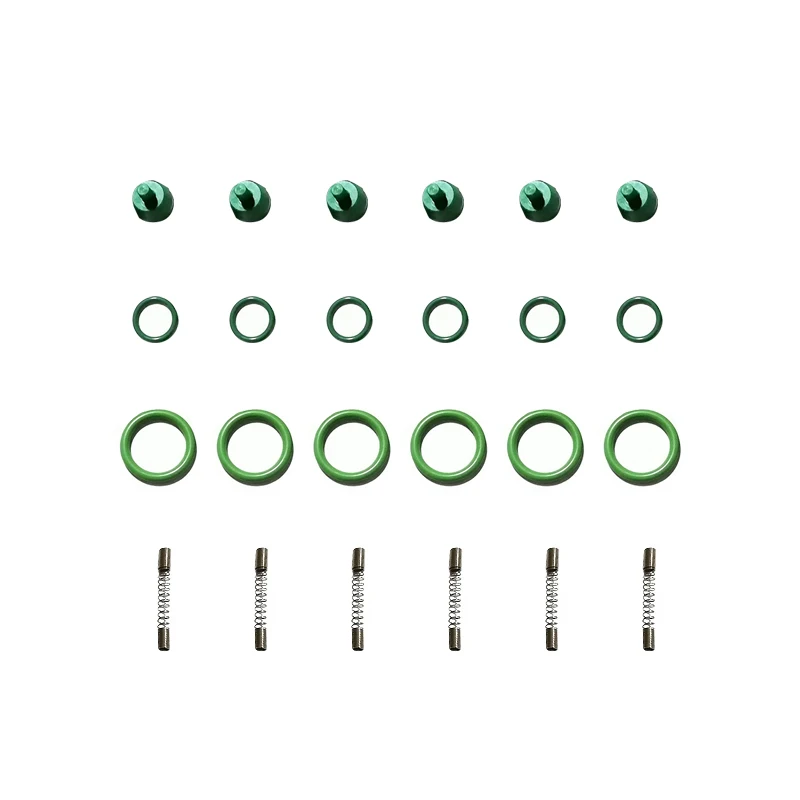 Kit Gpl Cng Per Nt401 Iniettore Rail Cng Car Gas Naturale Rail Omvl Common Rail Spring Grembiule Kit Di Riparazione Elysee