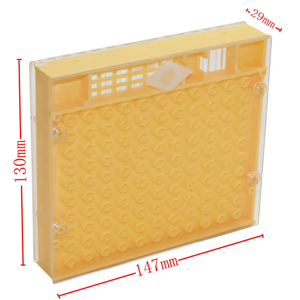 1 Pcs Beekeeping Equipment Tools Rearing Queen Bee Plastic Box Cage For Professional Beekeeper Apiculture Supplier