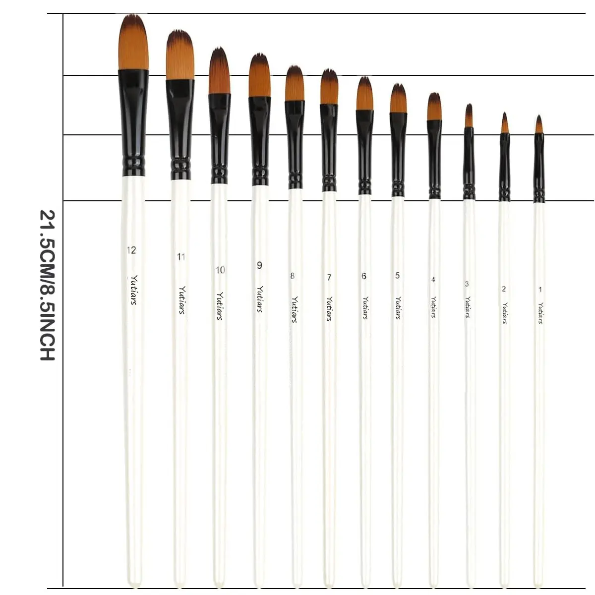 Acrylic Paint Brushes Set, 12pcs Professional Artist Paintbrushes for Acrylic Watercolor Oil Painting, Face Body Nail Art, Craft 2