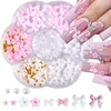 Mixed Acrylic Bowknot 3D Nail Art Decorations Flower Resin Charms Gold Beads Caviar Pearl Mixed Rhinestones Accessories Boxed 1