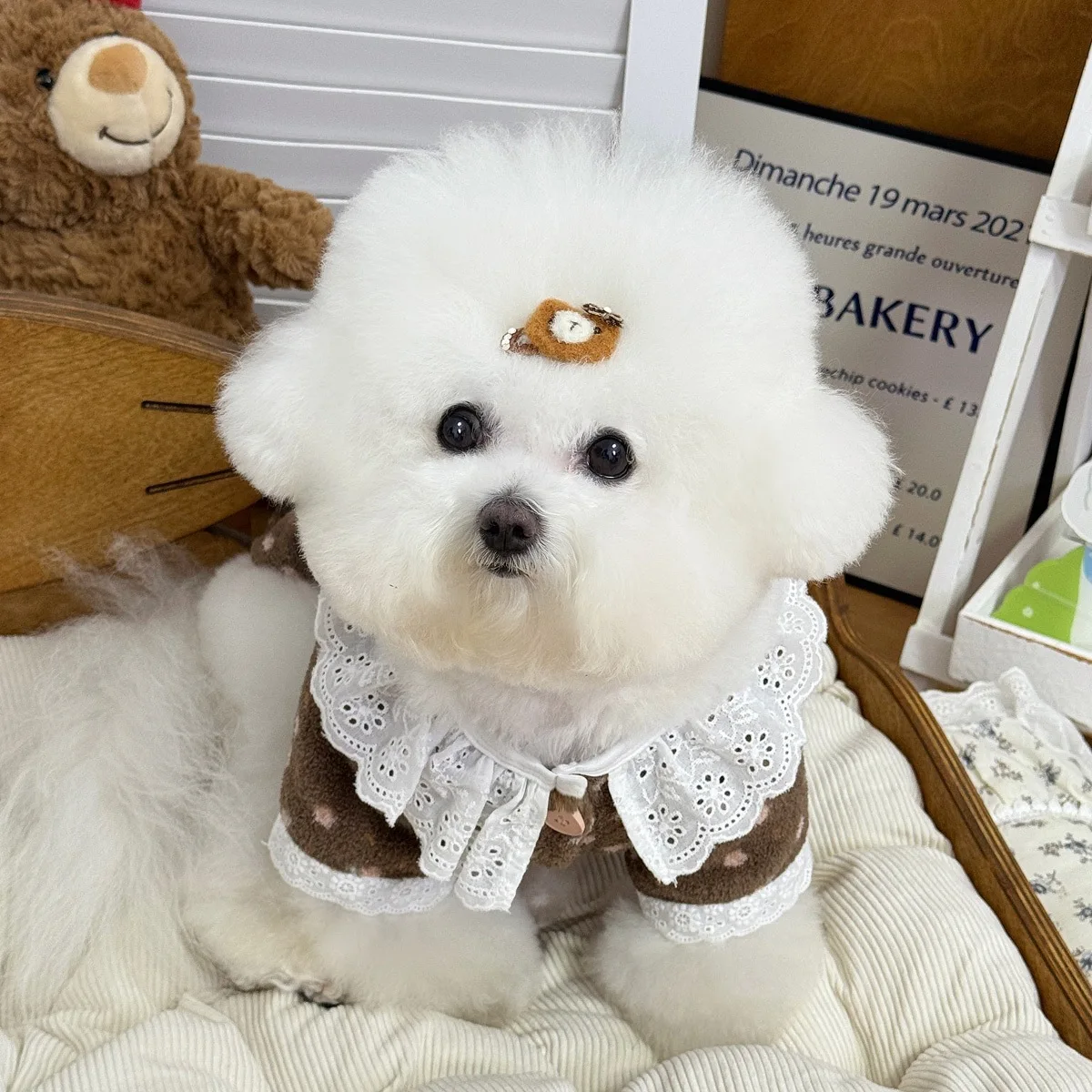 가을 겨울 플리스 애완동물 옷 소형견 및 고양이용 테디 비숑 포메라니안 슈나우저 인형 칼라 오픈 가디건 따뜻한 캐주얼