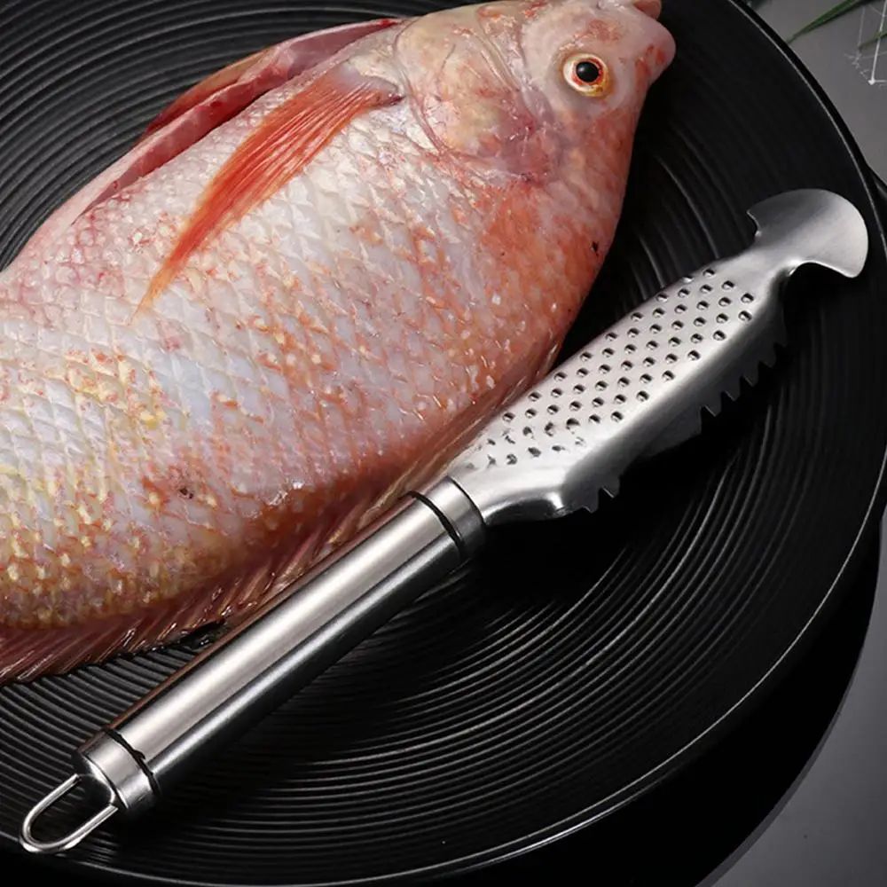 Description Picture 2 of itemFish Scale Remover Stainless Steel Fish Scraper With Ginger Grater Design Fish Cleaning Tool For Kitchen Seafood Markets