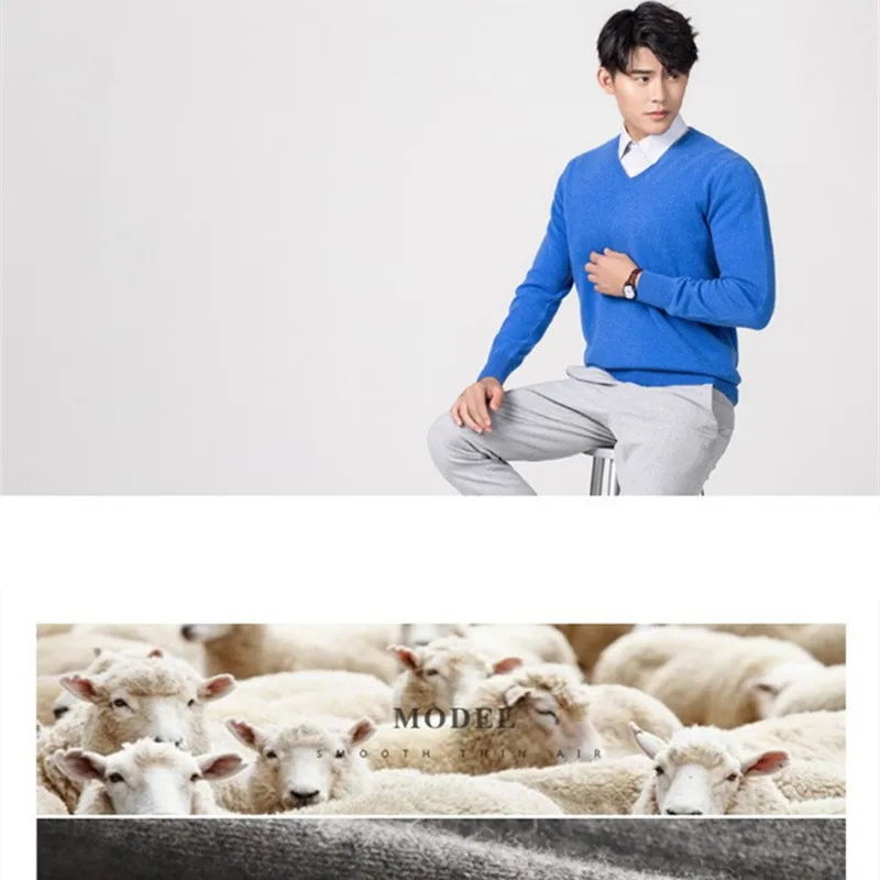 Men's 100% Pure Wool Cashmere Sweater V-Neck Pullovers Knitted Sweater Autumn and Winter New Long Sleeve High-End Jumpers Tops 2