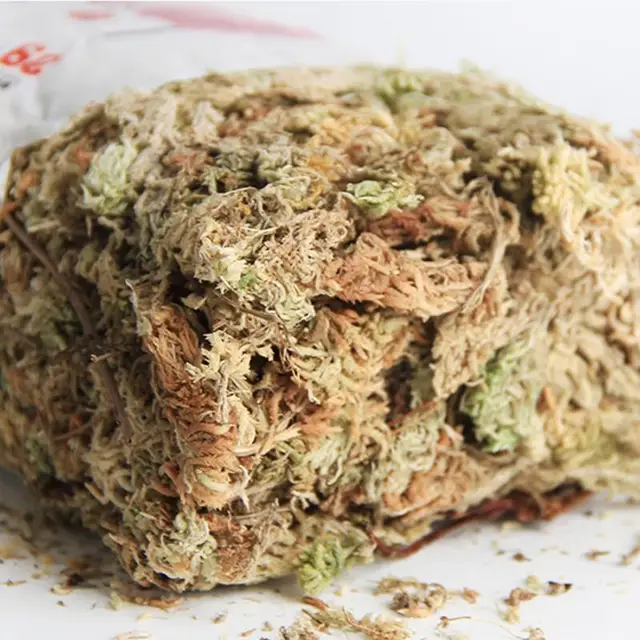 Sphagnum Moh 6/12L Hidratáló Táplálkozási Szerves Műtrágya Moha Kerti Készletek Növényi Gyökerek Diy Virág Edény Otthon - Image 2