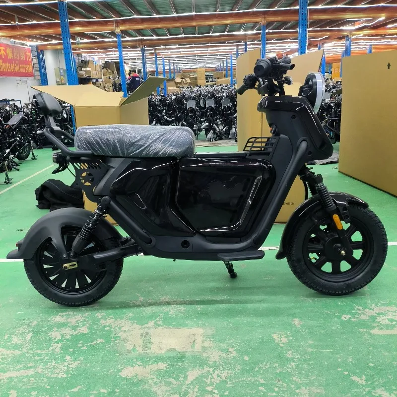 BR Luyuan OEM Factory High Speed Electric Motorcycles Scooter 60v 16inch Long Range Electric City Bike 1000W 1500W 4