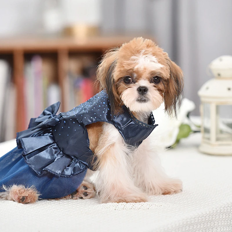 How To Teach одежда для собак Better Than Anyone Else