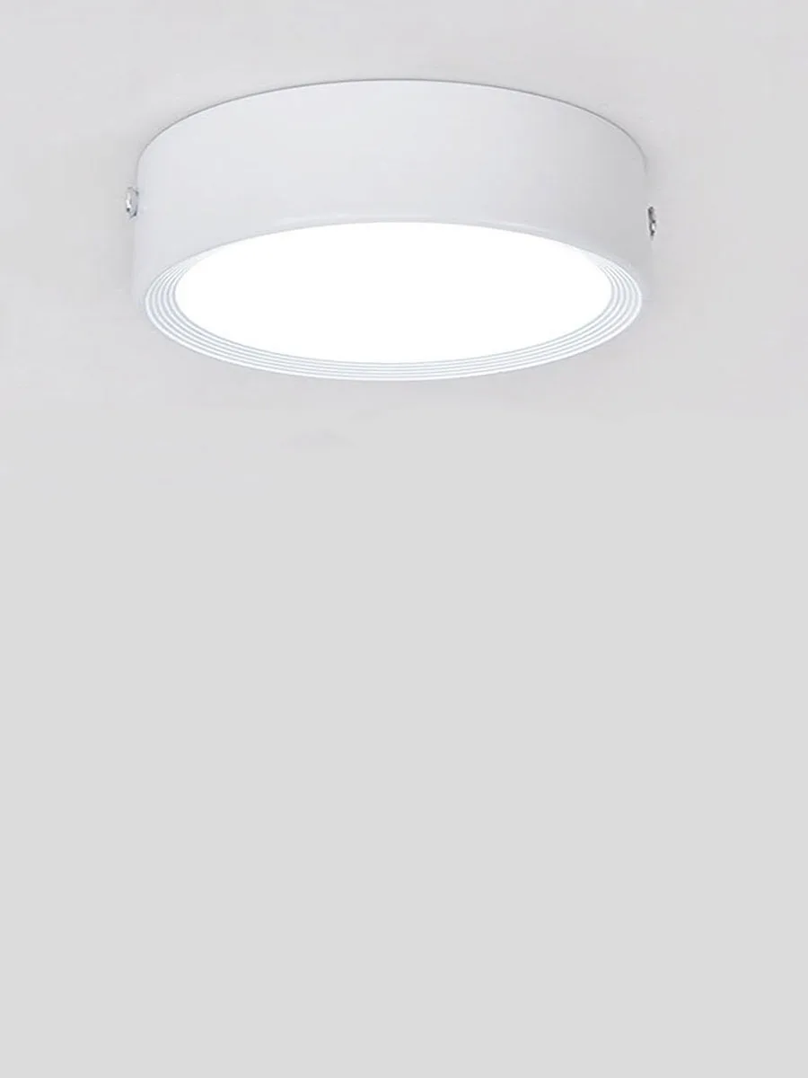 Outdoor Waterproof IP65 IP66 IP67 220V LED Downlight Surface Mounted 7W 9W 12W 15W 18W 24W 30W Wall LED Ceiling Lamp Spot Light