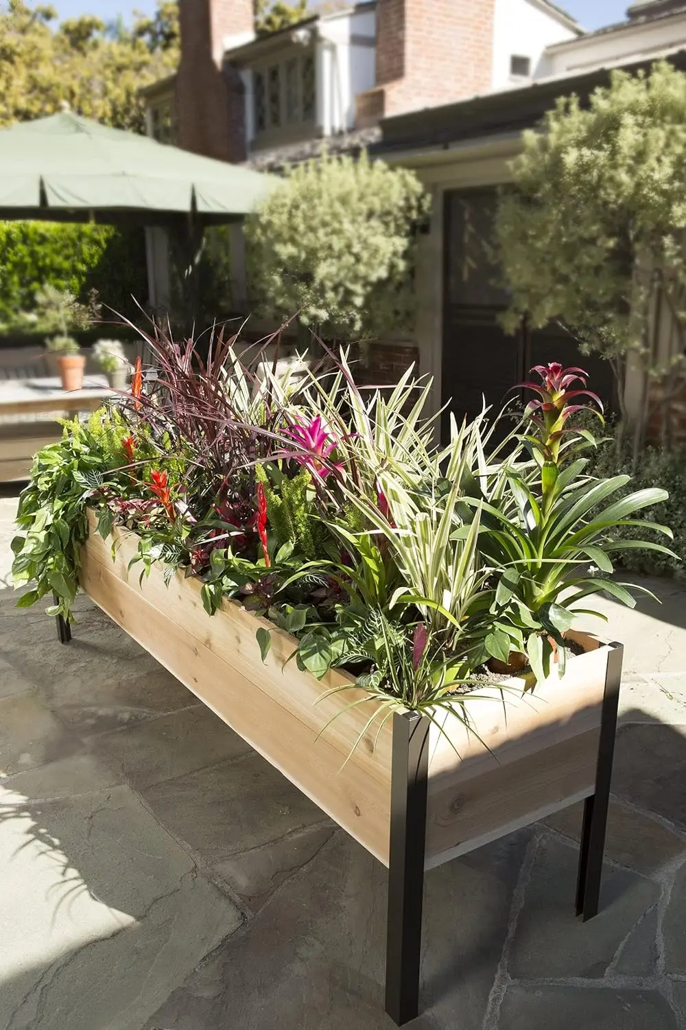 Elevated Cedar Planter Box 2' x 8' 3