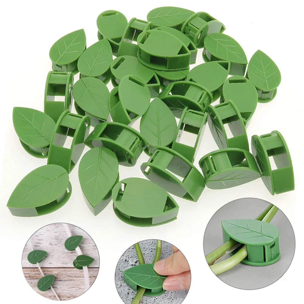 10pcs Plant Climbing Wall Fixer Leaf Type Green Plant Invisible Fixing Device Vine Clip Fastener Snap Traction Shaping Hook