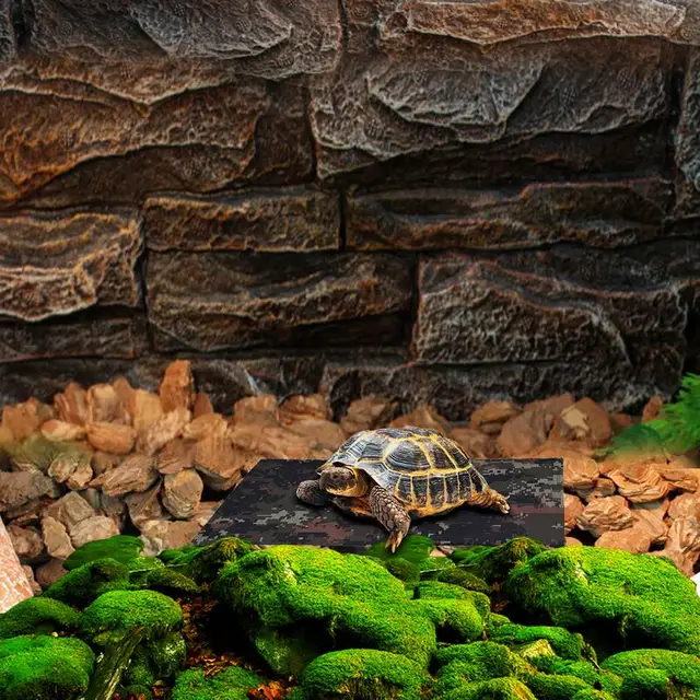 Legújabb Kisállat -Fűtőpad Hüllőhevító Pad Usb Fűtési Lap Szénszálas Fűtőpad Bw - Image 6