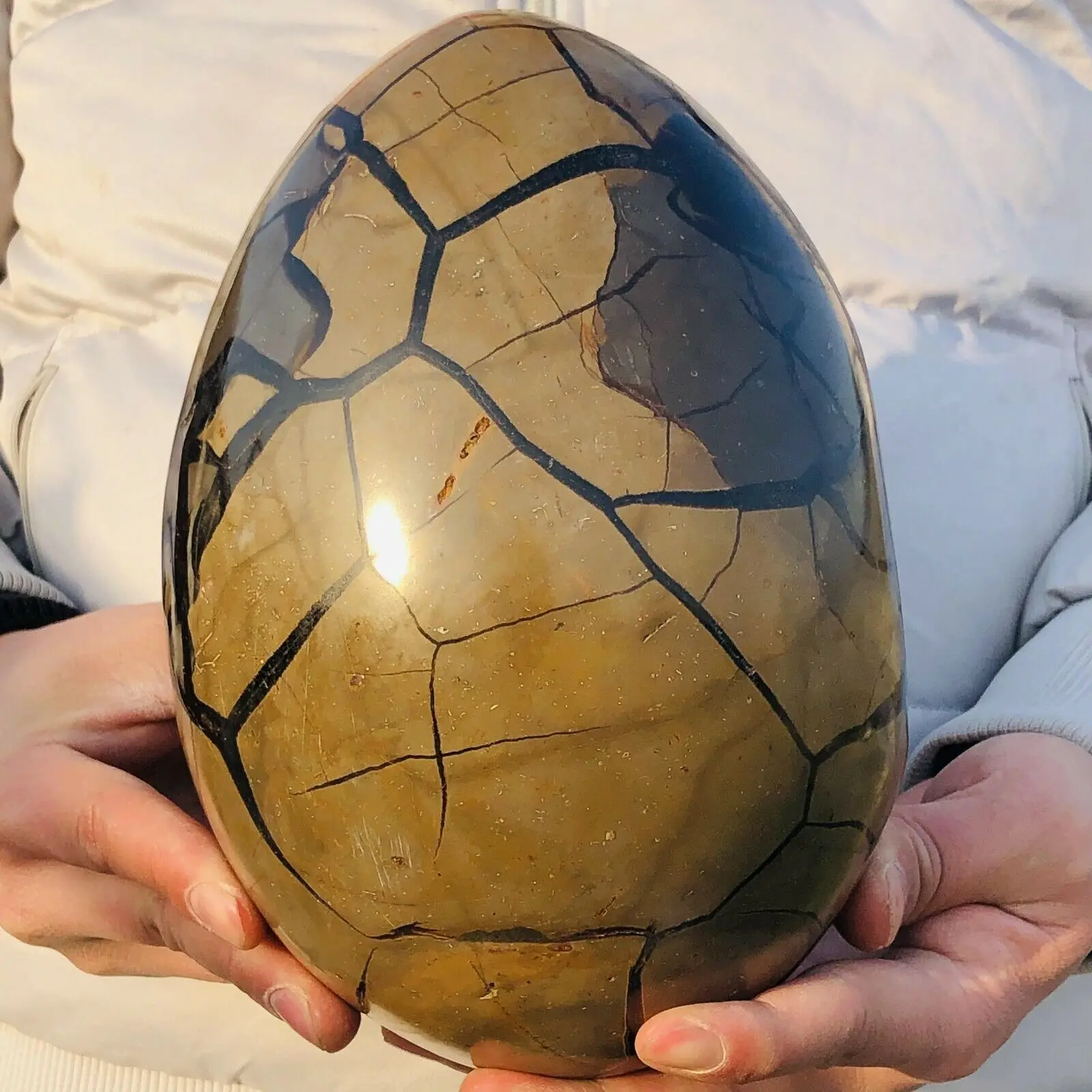 Natural Turtle Back Stone Egg Shape Dragon Crystal Crack Mineral SpecimenHome Office Hallway Decoration Healing Gift 5