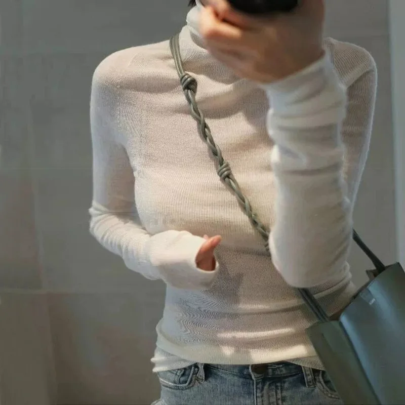 Women Solid Long Sleeved Turtleneck Sheer Knit Top Jumper