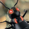 Control Toy for Children RC Remote Control  Novelty Tortoise Ants  Spiders Crabs Model Kids Boys Girl Electronic Gift 4