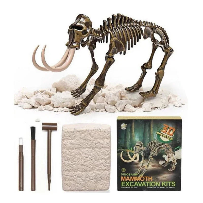 Dinosaur Fossil Excavation Kits Education Archeology Exquisite Jurassic Toy Set Game Action Children Figure Skeleton Model Gift 5