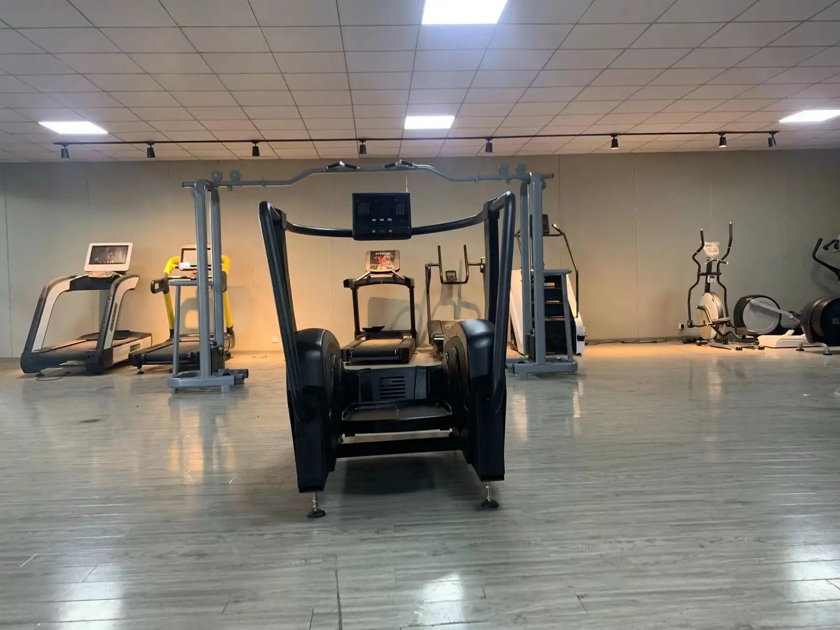Рисунок 3 - LDW-10 Gym серф-машина/wave tr