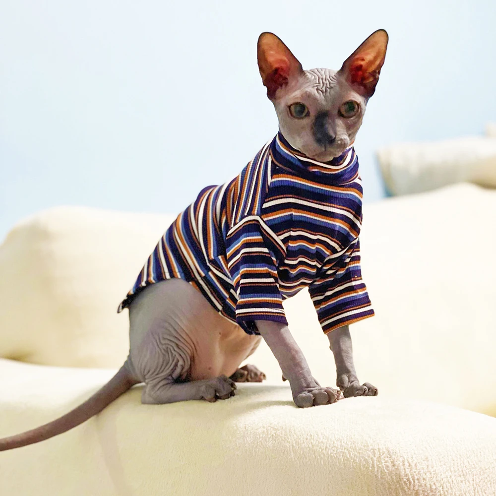 

New Sphinx Devon Hairless Cat Clothes For Kitten Knitted Striped High Collar Cat Clothing Spring Autumn Kitty Costume For Pet