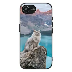 Kitten Cat Design Phone Case Cover - Motorola Moto G14 (1)