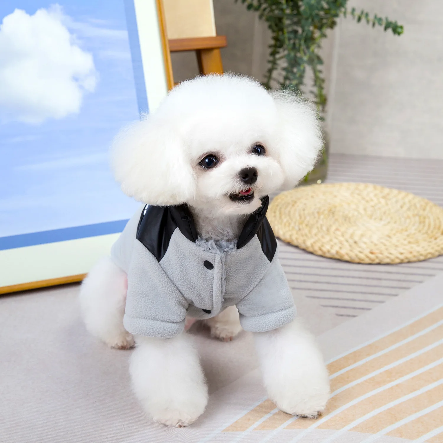 Fleece Thickened Dog Coat Autumn Winter Pet Clothes for Small Dogs with Leash Ring Sportswear Puppy Jacket Boy Girls Pet Apparel - Image 5