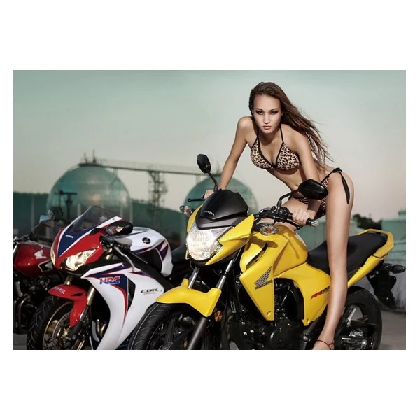 EXHAUST SYSTEM UPGRADE EXPERT Store