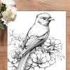 Flowers and Birds Colouring Book Adult Picture Book Original Design 2
