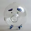 2025 New Pig Piggy Money Boxes Coin Saving Box Transparent Glass Souvenir Birth 2